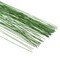 100-Pack 28 Gauge Light Green Paper-Wrapped Floral Stem Wire, 14in